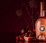 Special Offers Wine