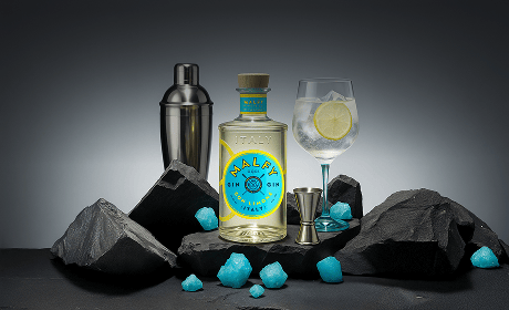 Gin for Cocktails