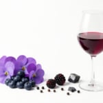 Domaine Adrien Berlioz Suzanne 2024