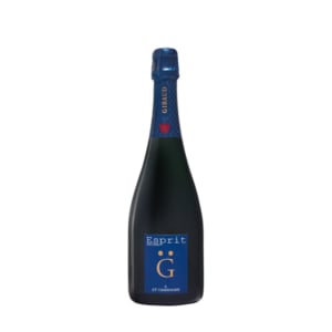 Henri-Giraud-Esprit-Nature