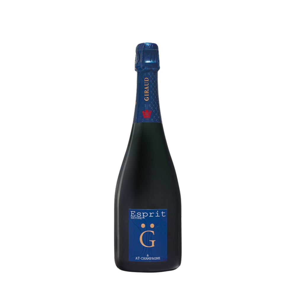 Henri-Giraud-Esprit-Nature