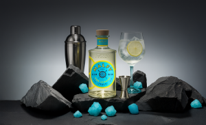 Gin for Cocktails 