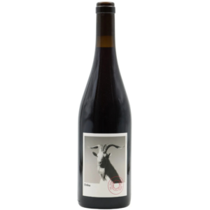 EDONgcS7bKdsIgGKXrVun37RRE9VHuu9ZKaClPr7LQvwt4UwYi