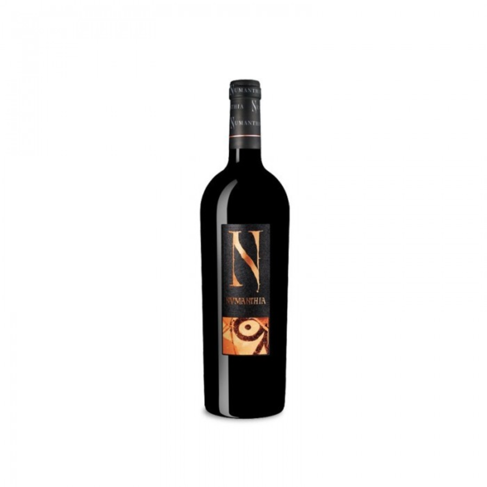 Bodega Numanthia 2019