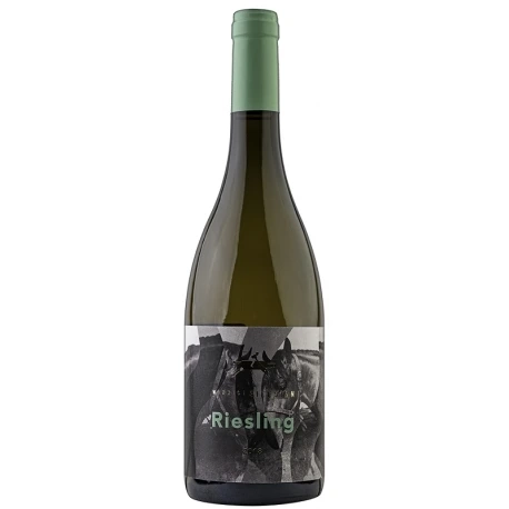 Winnica Silesian Riesling 2021